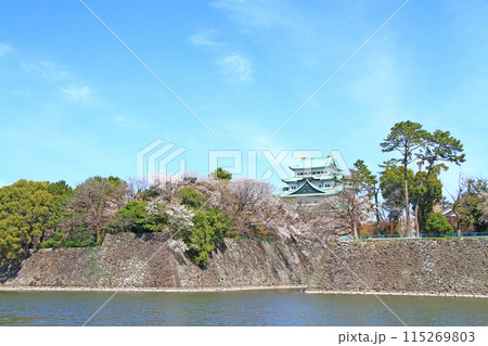 愛知県名古屋市、満開の桜と名古屋城の風景 愛知県名古屋市、満開の桜と名古屋城の風景 115269803