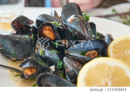 Mussels open on a dinner plate 115269843