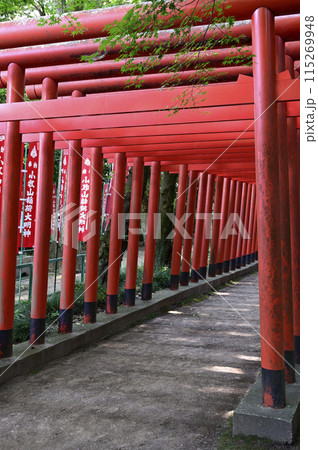 小牧山稲荷神社の連鳥居 小牧山稲荷神社の連鳥居 115269948