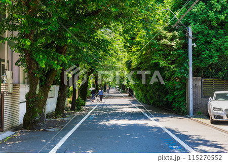 閑静な住宅街 成城 閑静な住宅街 成城 115270552