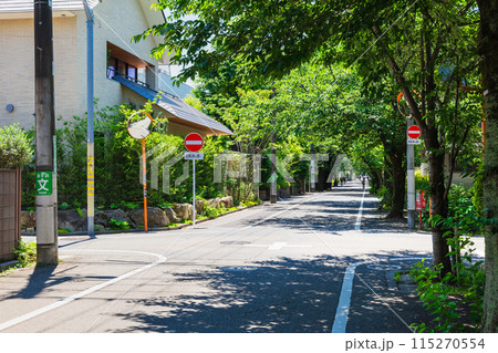 閑静な住宅街　成城 115270554