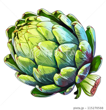Artichok 115270588