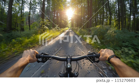 Riding a Bicycle Down a Tree Lined Country Road in Summer. POV photo, first person perspective 115270603