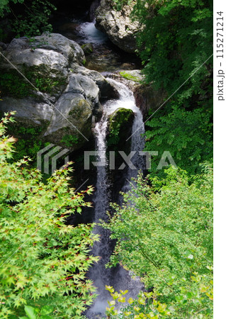 徳島県神山町 姫の滝 徳島県神山町 姫の滝 115271214
