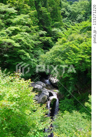 徳島県神山町　姫の滝 115271220
