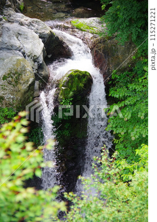 徳島県神山町 姫の滝 徳島県神山町 姫の滝 115271221
