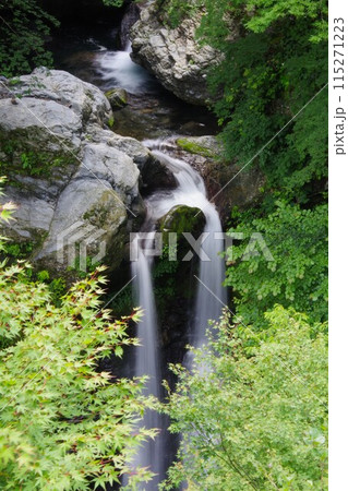 徳島県神山町 姫の滝 徳島県神山町 姫の滝 115271223