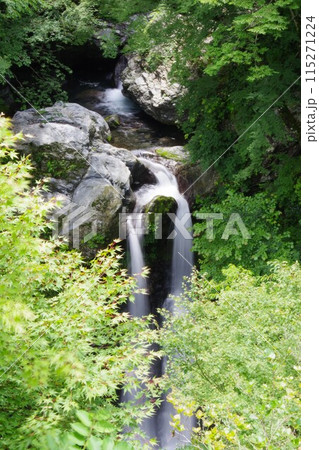 徳島県神山町 姫の滝 徳島県神山町 姫の滝 115271224