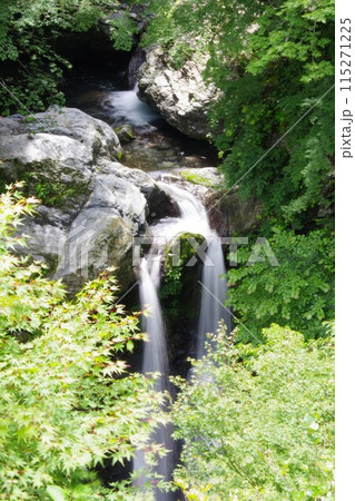 徳島県神山町 姫の滝 徳島県神山町 姫の滝 115271225