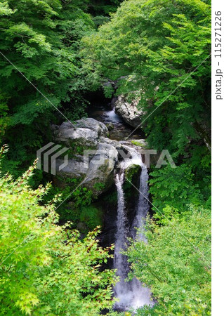 徳島県神山町　姫の滝 115271226