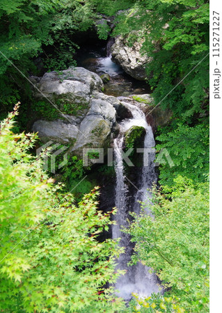 徳島県神山町 姫の滝 徳島県神山町 姫の滝 115271227