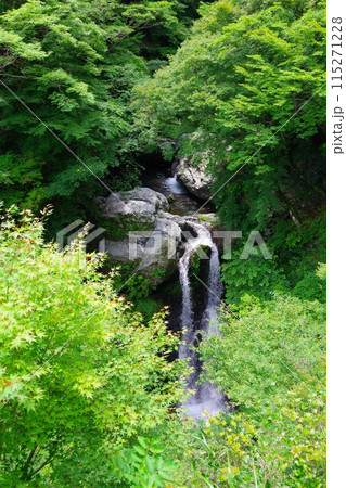 徳島県神山町 姫の滝 徳島県神山町 姫の滝 115271228