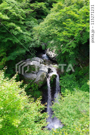 徳島県神山町　姫の滝 115271231