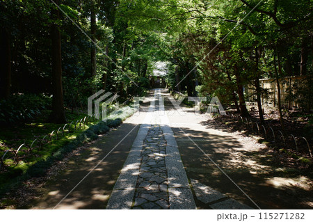 鎌倉　寿福寺参道 115271282
