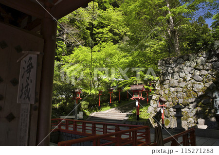 鞍馬寺　新緑と木漏れ日が美しい参道　横構図4 115271288