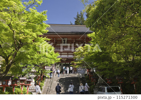 鞍馬寺　新緑と仁王門　横構図1 115271300