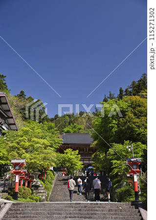 鞍馬寺 新緑と仁王門 縦構図1 鞍馬寺 新緑と仁王門 縦構図1 115271302