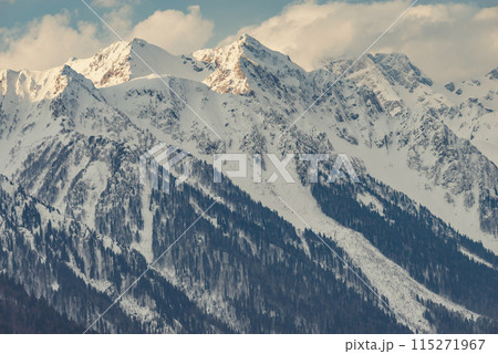 Winter mountain under the snow. Caucasus. 115271967