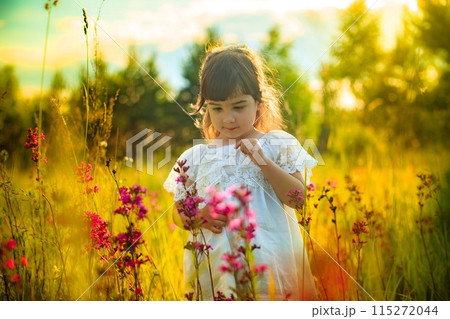 A little girl in a white dress stands in a blooming field, looking at the tall grass. 115272044