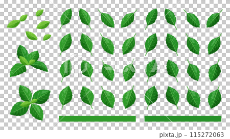 Coffee leaf illustration material set 115272063