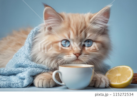 cute cat on the bed drinks hot tea with lemon 115272534