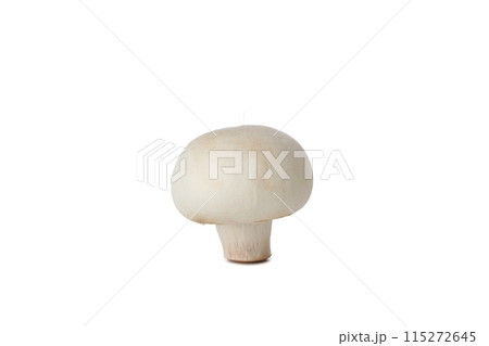 PNG, Whole fresh peeled champignon, isolated on white background 115272645