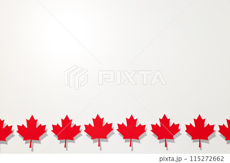 Red maple leaves on a white background 115272662