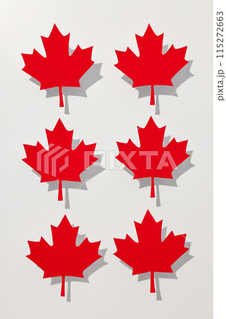 Red maple leaves on a white background 115272663