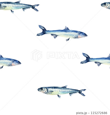 Anchovies small fish on watercolor seamless pattern isolated. Fresh sea fish hand drawn endless background. Sea pattern with fishes. Underwater sea design for package, textile, paper Anchovies small fish on watercolor seamless pattern isolated. Fresh sea fish hand drawn endless background. Sea pattern with fishes. Underwater sea design for package, textile, paper 115272686