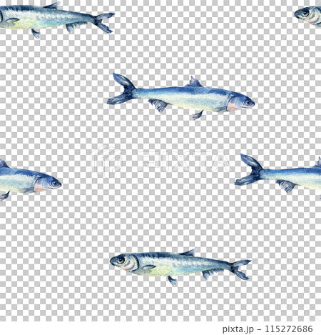 Anchovies small fish on watercolor seamless pattern isolated. Fresh sea fish hand drawn endless background. Sea pattern with fishes. Underwater sea design for package, textile, paper 115272686