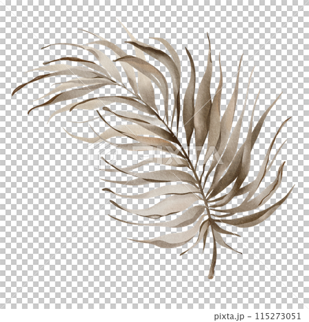 Watercolor areca branch. Palm leaf illustration. Green tropical plant. Exotic botanical on a white background. Silhouette of a lush plant. Jungle flora hand painted. Watercolor areca branch. Palm leaf illustration. Green tropical plant. Exotic botanical on a white background. Silhouette of a lush plant. Jungle flora hand painted. 115273051