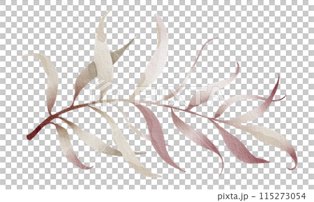 Watercolor areca branch. Palm leaf illustration. Green tropical plant. Exotic botanical on a white background. Silhouette of a lush plant. Jungle flora hand painted. 115273054