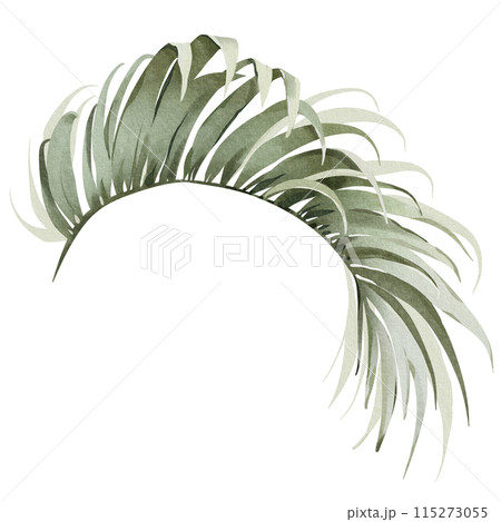 Watercolor areca branch. Palm leaf illustration. Green tropical plant. Exotic botanical on a white background. Silhouette of a lush plant. Jungle flora hand painted. Watercolor areca branch. Palm leaf illustration. Green tropical plant. Exotic botanical on a white background. Silhouette of a lush plant. Jungle flora hand painted. 115273055