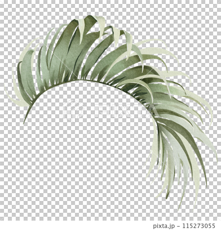 Watercolor areca branch. Palm leaf illustration. Green tropical plant. Exotic botanical on a white background. Silhouette of a lush plant. Jungle flora hand painted. Watercolor areca branch. Palm leaf illustration. Green tropical plant. Exotic botanical on a white background. Silhouette of a lush plant. Jungle flora hand painted. 115273055