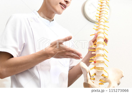 骨の模型を使い患者に説明する男性整体師(整骨) 骨の模型を使い患者に説明する男性整体師(整骨) 115273066