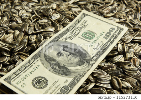 Dollars banknotes and sunflower seeds, oleaginous Commodity value concept. 115273110
