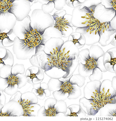 Seamless pattern with jasmine flowers. A hand-drawn watercolor illustration. For textiles, wallpapers and backgrounds. For packaging paper and labels, printing and decoration 115274062