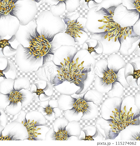 Seamless pattern with jasmine flowers. A hand-drawn watercolor illustration. For textiles, wallpapers and backgrounds. For packaging paper and labels, printing and decoration 115274062