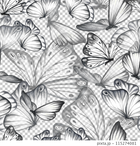 Seamless pattern with grey flying butterflies. A hand-drawn watercolor illustration. For textiles, wallpapers and backgrounds. For packaging paper and labels, printing. For packaging and decoration. 115274081