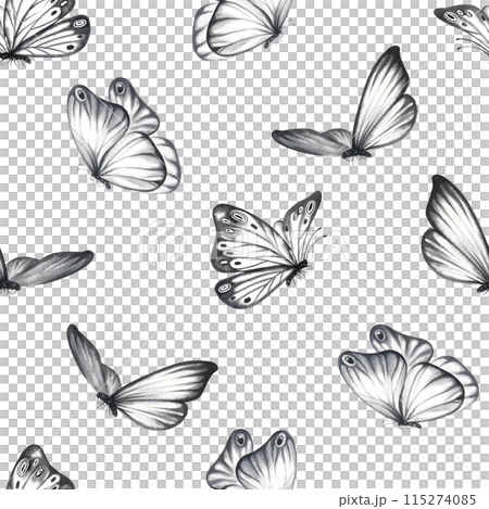 Seamless pattern with grey flying butterflies. A hand-drawn watercolor illustration. For textiles, wallpapers and backgrounds. For packaging paper and labels, printing. For packaging and decoration. 115274085