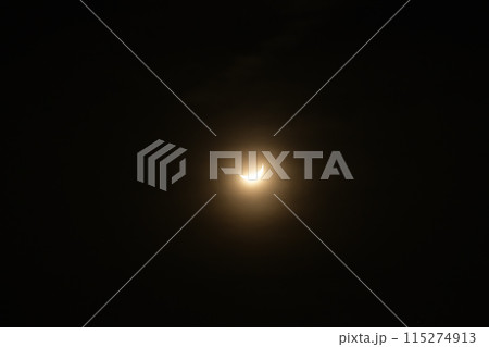 春の朧月夜 115274913