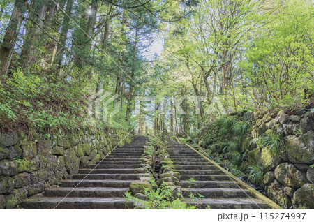 栃木 日光の石垣と階段 栃木 日光の石垣と階段 115274997