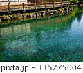 すんだ湧水池 115275004