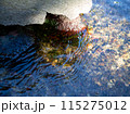 岩場の水面 115275012