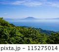 遠くに見える桜島 115275014