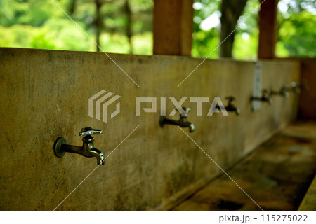 東京　都立水元公園のキャンプ場の風景 115275022