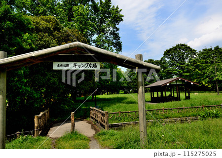 東京 都立水元公園のキャンプ場の風景 東京 都立水元公園のキャンプ場の風景 115275025