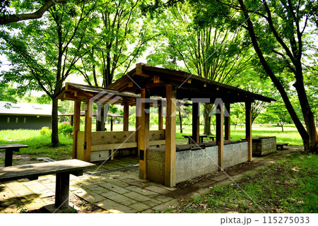 東京 都立水元公園のキャンプ場の風景 東京 都立水元公園のキャンプ場の風景 115275033