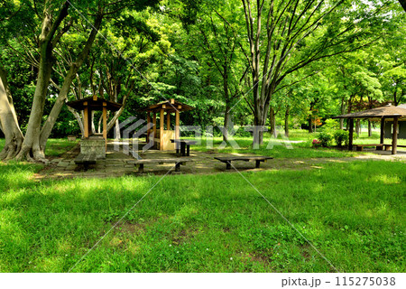 東京　都立水元公園のキャンプ場の風景 115275038