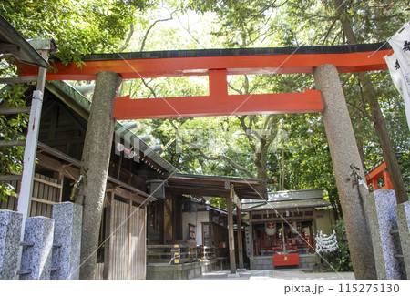 御器所八幡宮 名古屋市昭和区 115275130